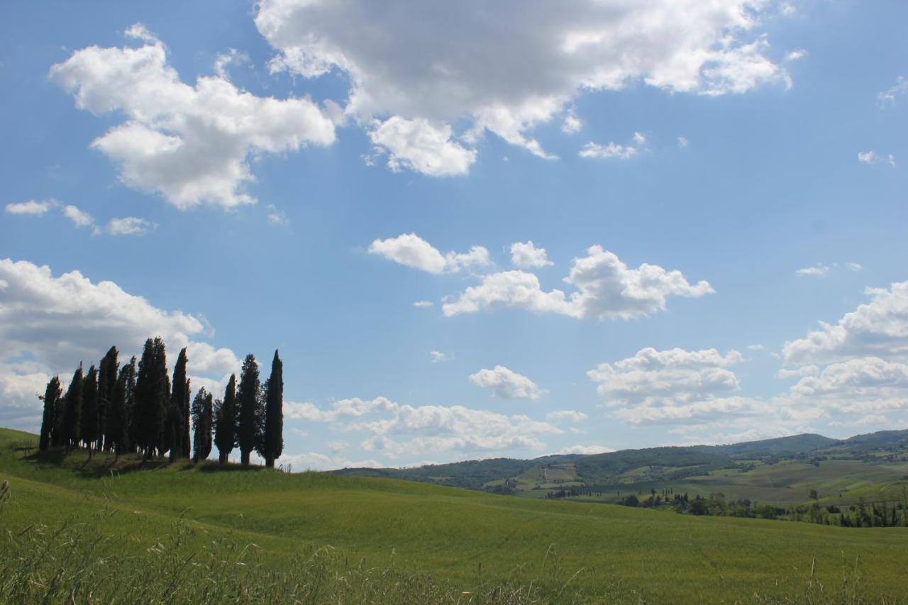 La Casina Di Nonna Lola Villa Castiglione d'Orcia Bagian luar foto